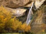 Calf Creek Falls